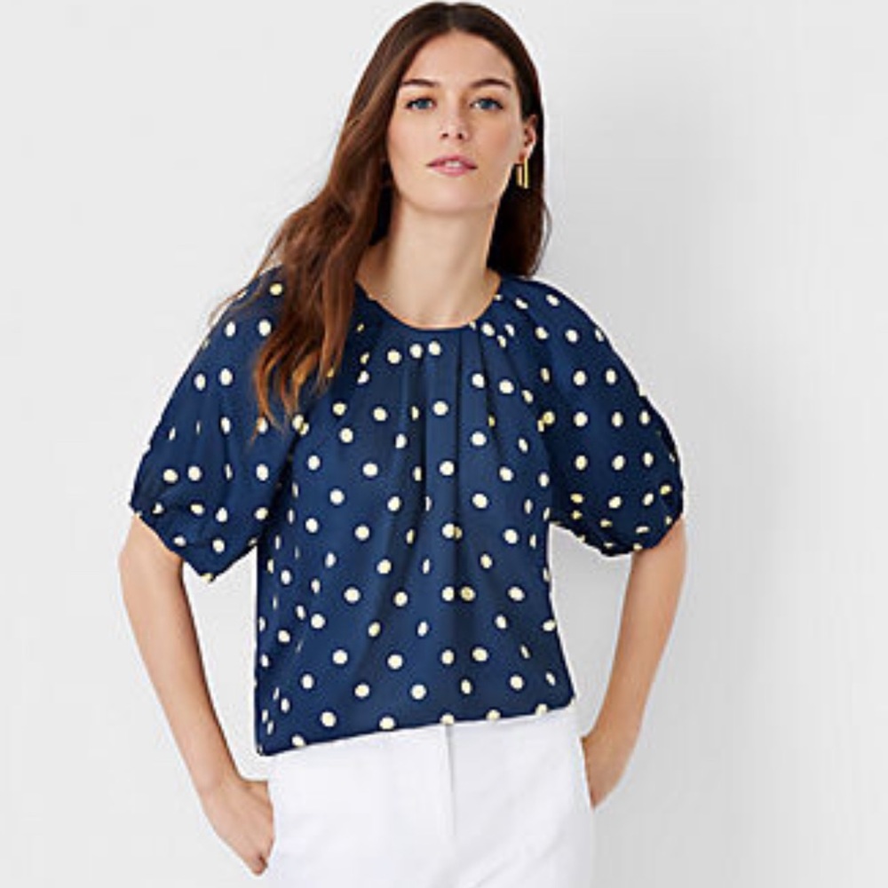 Ann Taylor, Dotted Pleat Neck Top, Large